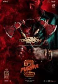 Pushpa The Rule Part 2 (2024) พุชป้า กฎเหล็ก