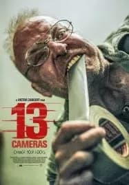 13 Cameras (2015)