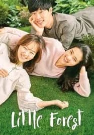 Little Forest (2018) อาบเหงื่อต่างฤดู