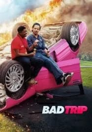 Bad Trip (2020) ทริปป่วนคู่อำ