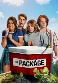 The Package (2018) กล่องดวงใจ