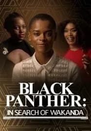 20/20 Presents Black Panther In Search of Wakanda (2022)
