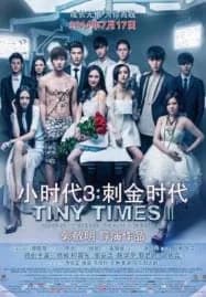 Tiny Times 3 (2014)