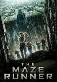 The Maze Runner (2014) วงกตมฤตยู